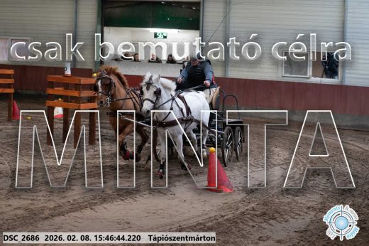 Mintakép 20260208-1703