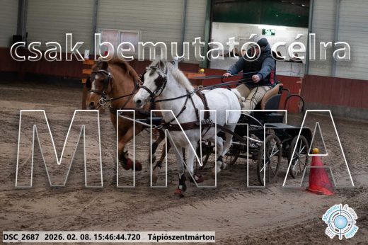 Mintakép 20260208-1704