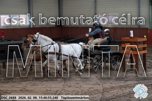 Mintakép 20260208-1705