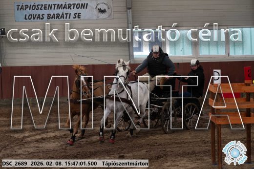 Mintakép 20260208-1706