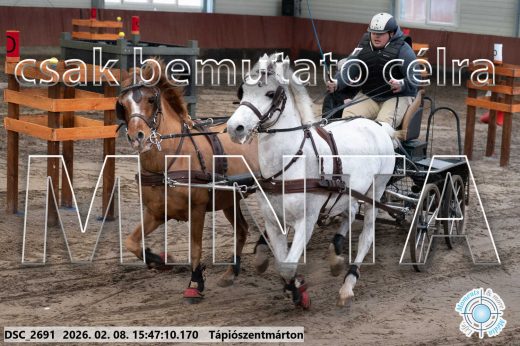 Mintakép 20260208-1708