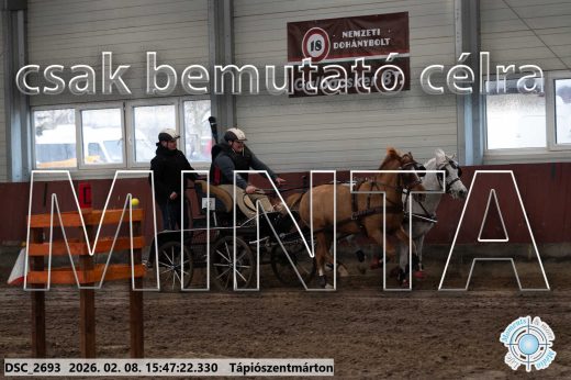Mintakép 20260208-1710