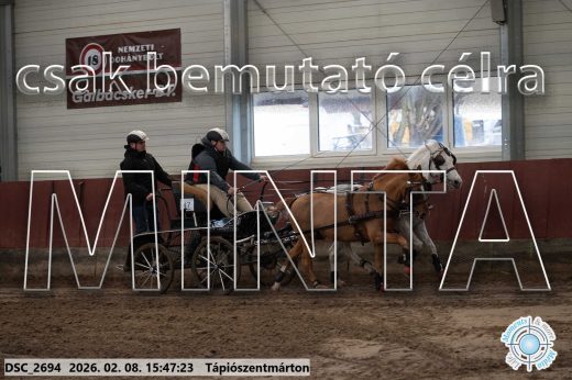 Mintakép 20260208-1711