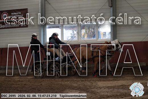 Mintakép 20260208-1712