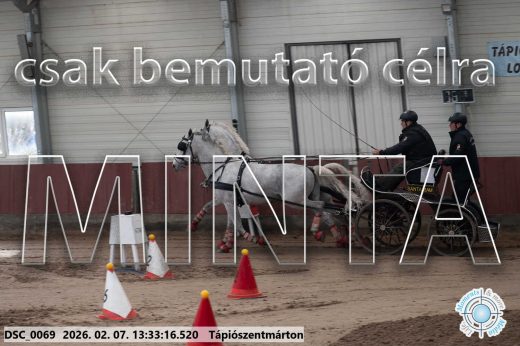 Mintakép 20260207-1016