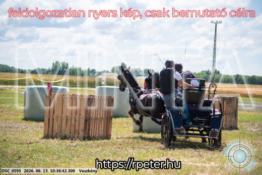 Mintakép 20260613-628