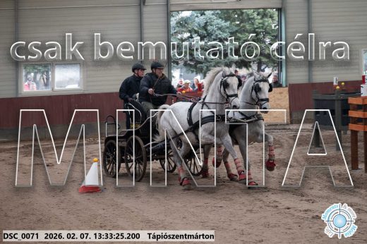 Mintakép 20260207-1018