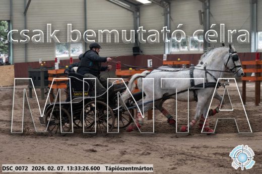 Mintakép 20260207-1019
