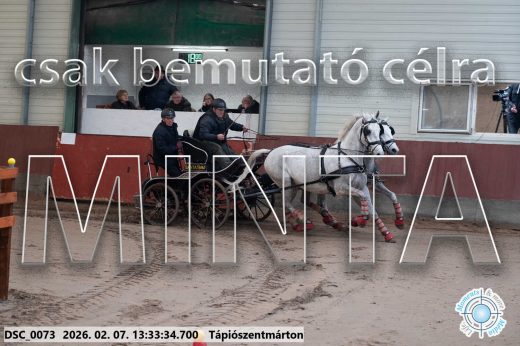 Mintakép 20260207-1020