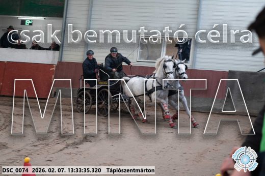 Mintakép 20260207-1021