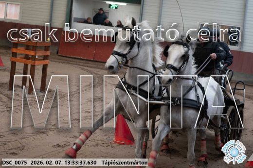 Mintakép 20260207-1022