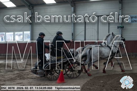 Mintakép 20260207-1024