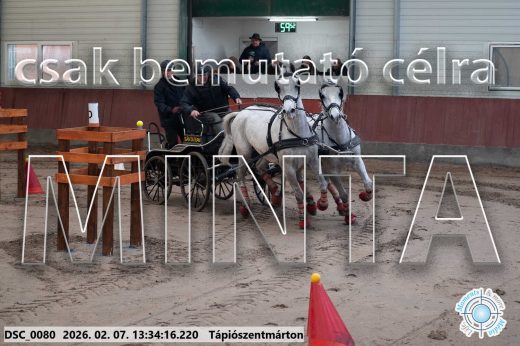 Mintakép 20260207-1026
