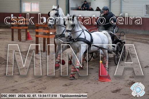 Mintakép 20260207-1027