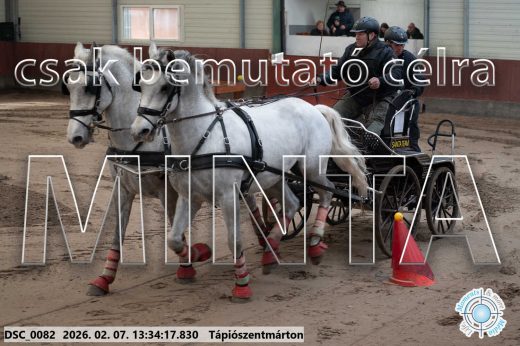Mintakép 20260207-1028