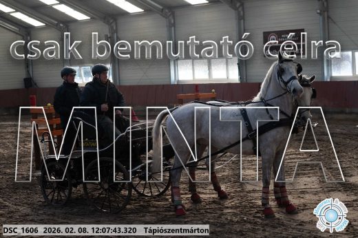 Mintakép 20260208-1714