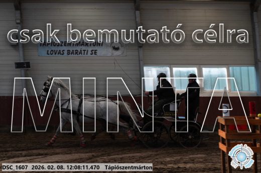 Mintakép 20260208-1715