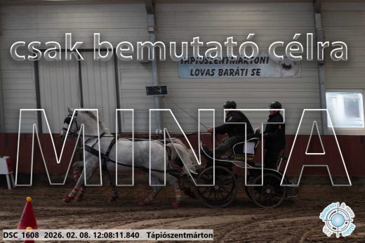 Mintakép 20260208-1716