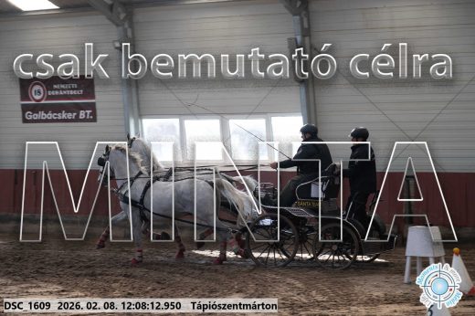 Mintakép 20260208-1717