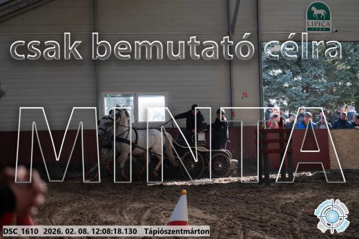 Mintakép 20260208-1718