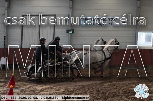 Mintakép 20260208-1720