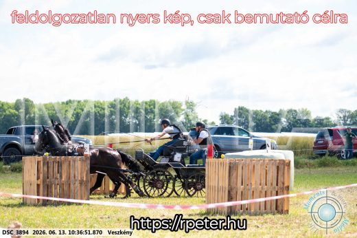 Mintakép 20260613-630