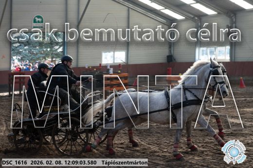 Mintakép 20260208-1724