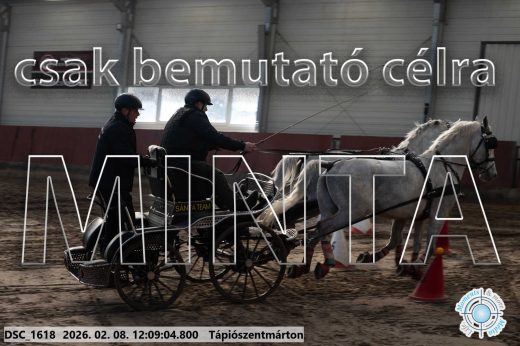 Mintakép 20260208-1726