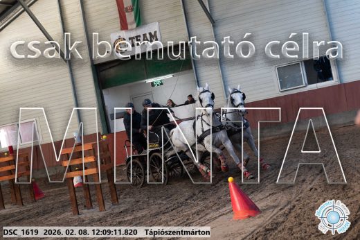 Mintakép 20260208-1727