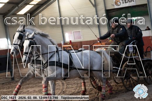Mintakép 20260208-1729
