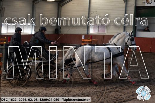 Mintakép 20260208-1730