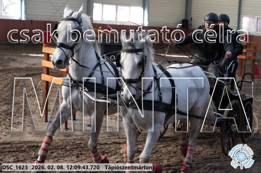 Mintakép 20260208-1731