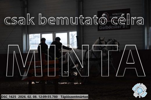Mintakép 20260208-1732