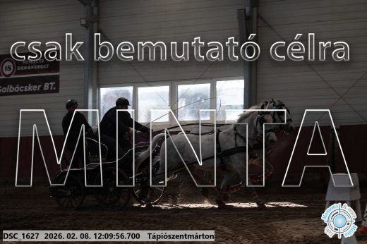 Mintakép 20260208-1734