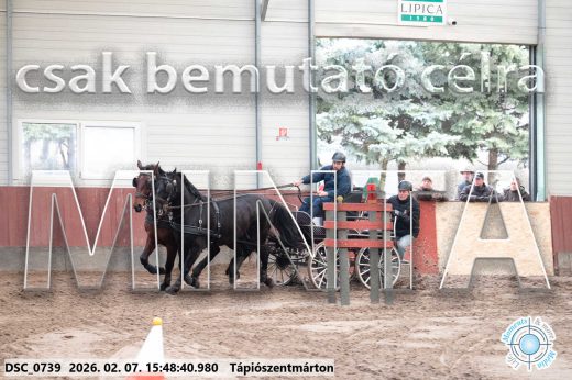 Mintakép 20260207-1032