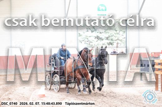 Mintakép 20260207-1033