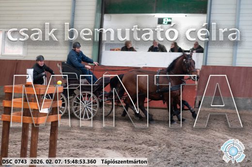 Mintakép 20260207-1034
