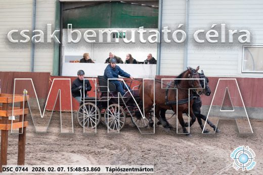 Mintakép 20260207-1035