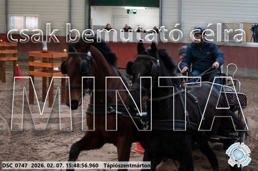 Mintakép 20260207-1037