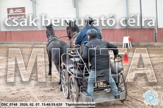 Mintakép 20260207-1038