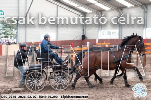Mintakép 20260207-1039
