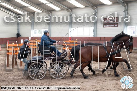 Mintakép 20260207-1040
