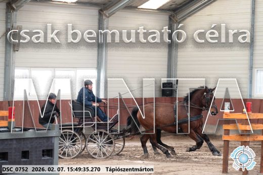 Mintakép 20260207-1041