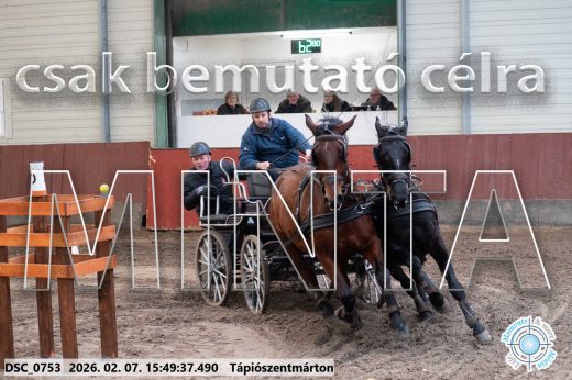Mintakép 20260207-1042