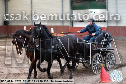 Mintakép 20260207-1043