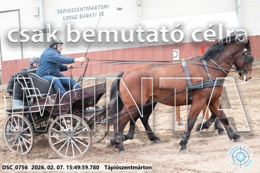 Mintakép 20260207-1044