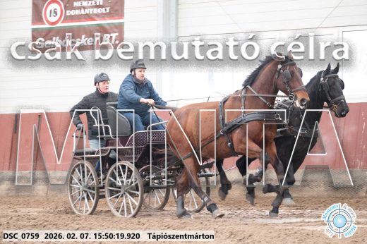 Mintakép 20260207-1045