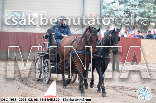 Mintakép 20260208-1735