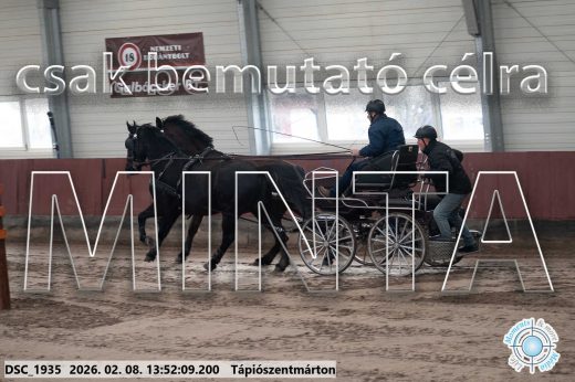 Mintakép 20260208-1736