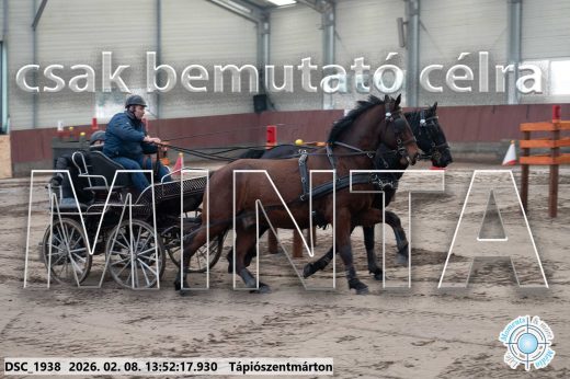 Mintakép 20260208-1739
